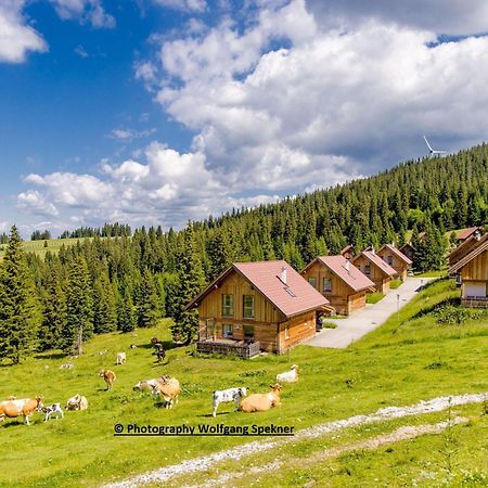 Beautiful Holiday Home In Weinebene With Sauna Posch Alpe Εξωτερικό φωτογραφία