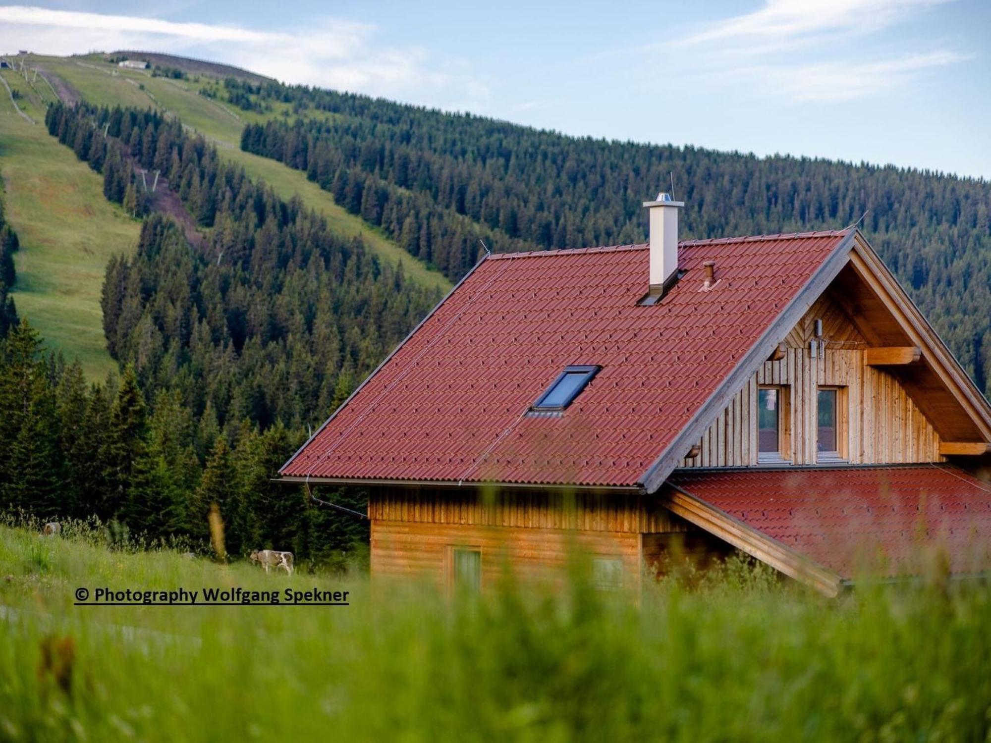 Beautiful Holiday Home In Weinebene With Sauna Posch Alpe Εξωτερικό φωτογραφία