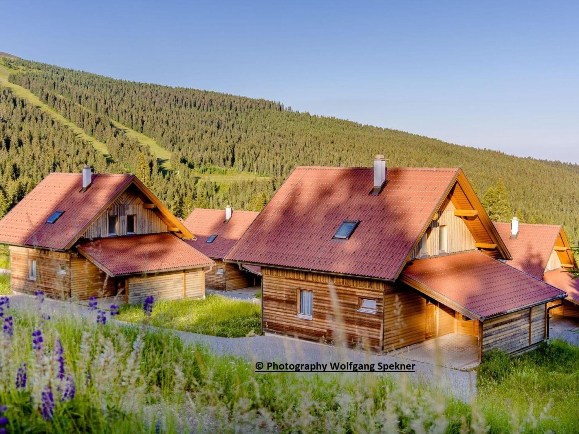 Beautiful Holiday Home In Weinebene With Sauna Posch Alpe Εξωτερικό φωτογραφία