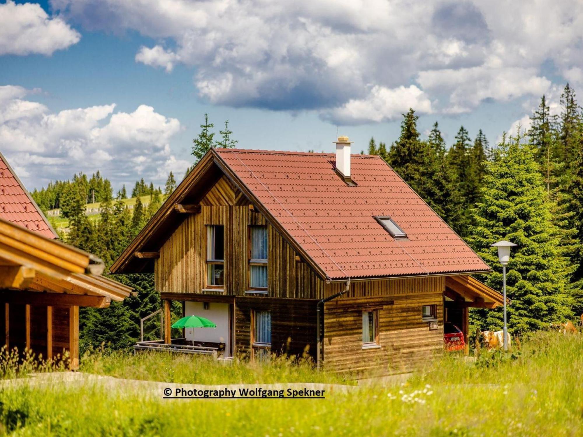 Beautiful Holiday Home In Weinebene With Sauna Posch Alpe Εξωτερικό φωτογραφία