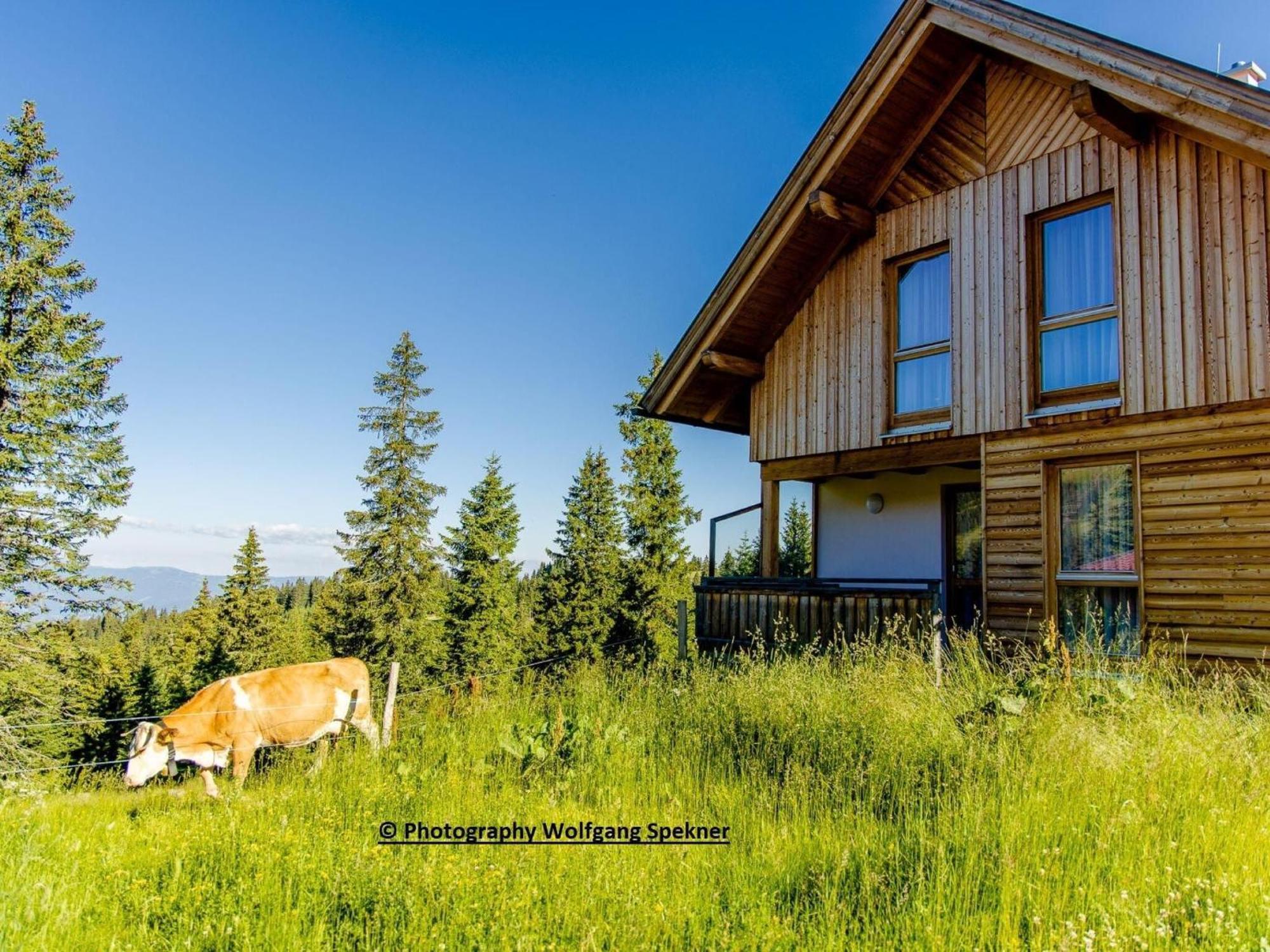 Beautiful Holiday Home In Weinebene With Sauna Posch Alpe Εξωτερικό φωτογραφία