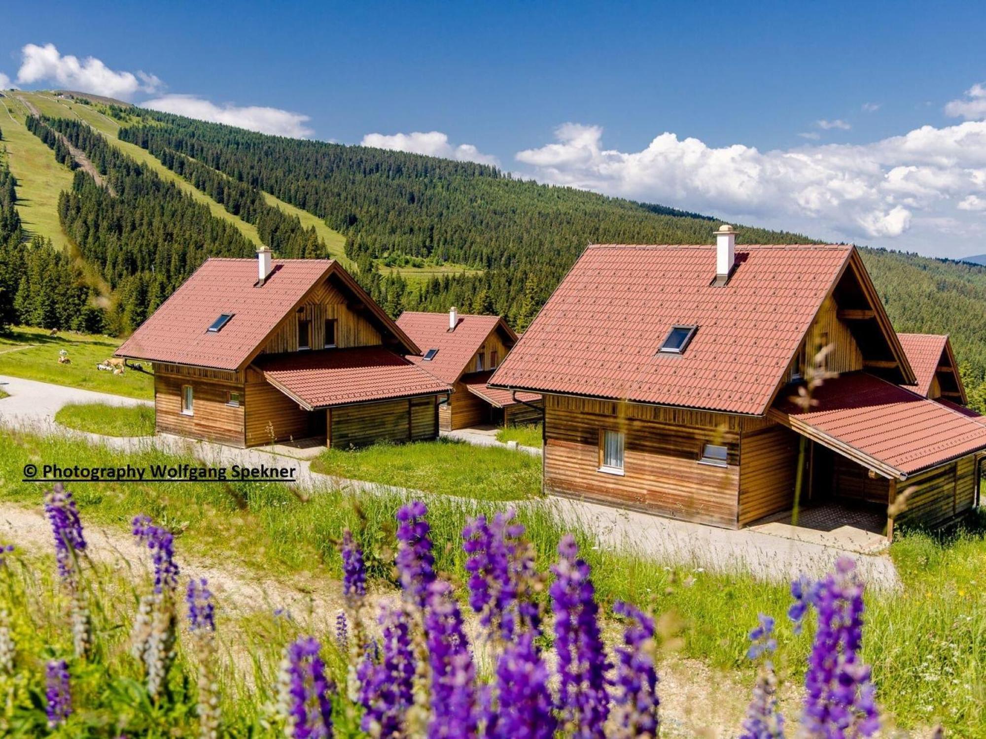 Beautiful Holiday Home In Weinebene With Sauna Posch Alpe Εξωτερικό φωτογραφία