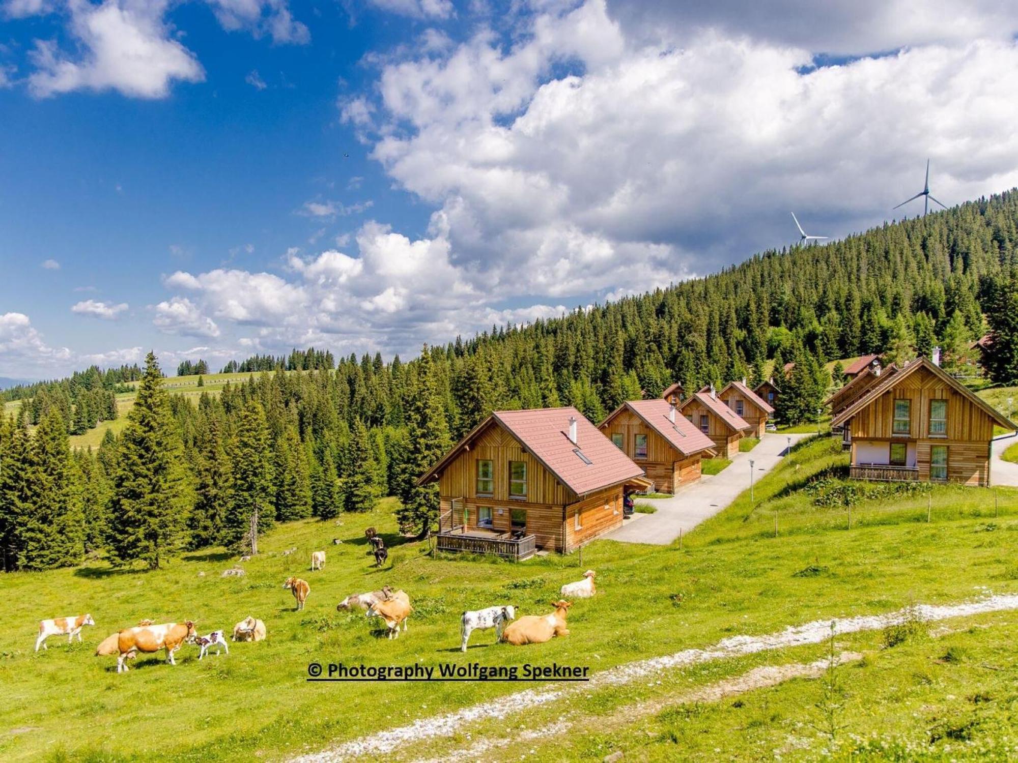 Beautiful Holiday Home In Weinebene With Sauna Posch Alpe Εξωτερικό φωτογραφία